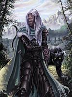 drizzt guardian of icewind dale