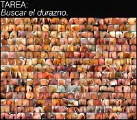 Pulsa en la imagen para verla en tamao completo

Nombre: Durazno.jpg
Visitas: 8057
Tamao: 83.6 KB
ID: 41861