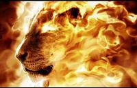 Pulsa en la imagen para verla en tamao completo

Nombre: Lion Zion Ion.jpg
Visitas: 2552
Tamao: 44.6 KB
ID: 41862