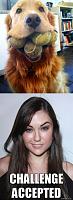 Pulsa en la imagen para verla en tamao completo

Nombre: Sasha_Grey_Challenge_Accepted.jpg
Visitas: 536
Tamao: 51.9 KB
ID: 43974