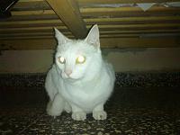 Pulsa en la imagen para verla en tamao completo

Nombre: 22032012334.jpg
Visitas: 70
Tamao: 399.8 KB
ID: 44736