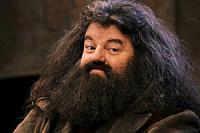 Pulsa en la imagen para verla en tamao completo

Nombre: Hagrid.jpg
Visitas: 75
Tamao: 13.2 KB
ID: 48016