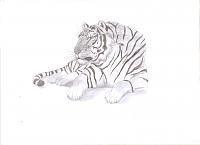Pulsa en la imagen para verla en tamao completo

Nombre: tigre 001.jpg
Visitas: 205
Tamao: 326.2 KB
ID: 49605