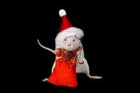 Pulsa en la imagen para verla en tamao completo

Nombre: 2154919-domestic-white-rat-on-a-black-background.jpg
Visitas: 172
Tamao: 8.6 KB
ID: 49848