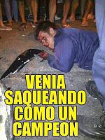 Pulsa en la imagen para verla en tamao completo

Nombre: 1472778_10202844250055242_780949146_n.jpg
Visitas: 193
Tamao: 67.1 KB
ID: 55577