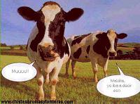 Pulsa en la imagen para verla en tamao completo

Nombre: vacas.jpg
Visitas: 138
Tamao: 14.9 KB
ID: 58767