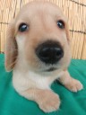 Avatar de KanLiu