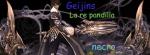 geijins